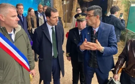 Beauval Zoo Confirms €25 Million Project for Marineland Dolphins’ New Home