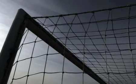 Milutin Osmajic News and Updates