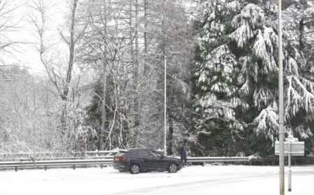 UK Snow Forecast: When to Expect the Next Flurry