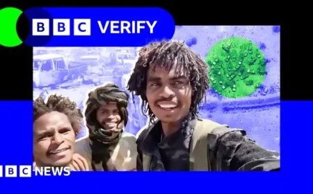 Sudan Militia Executes Brutal Massacre in El-Fasher: A Harrowing Account