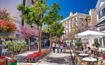 Estepona’s Business Boom: New Ventures Launch Every 1.5 Days in 2025