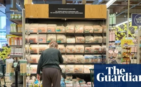 US Consumer Sentiment Plummets Amid Ongoing Government Shutdown