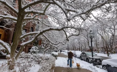 Winter Forecast: Will More Snow Bring Colder Conditions?