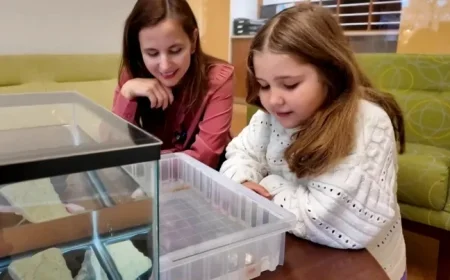 6-Year-Old Girl Saves Harvard’s Axolotl Research with Funding Boost