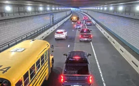 Rescue Team Saves Dog from Boston Tunnel During Rush Hour Traffic