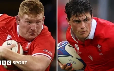 Louis Rees-Zammit and Rhys Carre Return for Wales vs. Argentina Test