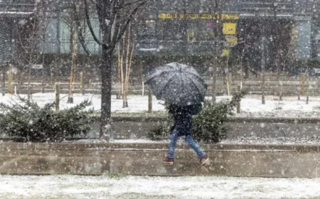 Environment Canada Forecasts Up to 10cm of Snow in Toronto Sunday