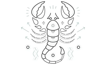 Daily Horoscope Insights for November 8, 2025