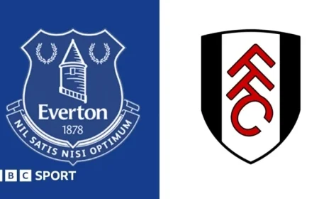 Everton Faces Fulham: Premier League Preview, Team News, and Stats