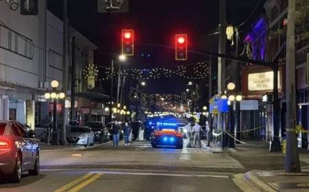 Tampa Crash Tragedy: 4 Dead, 11 Injured