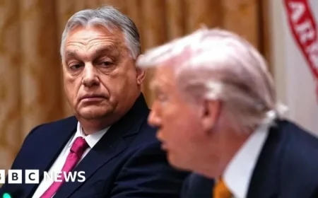 Viktor Orban’s Actions and Inactions in Hungary Unveiled