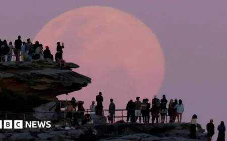 Global Viewers Captivate by Beaver Supermoon Phenomenon
