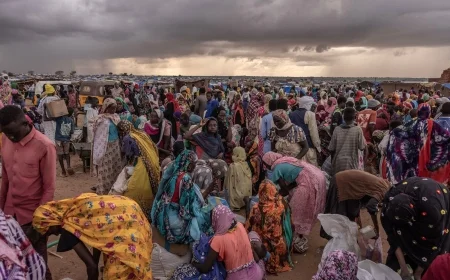 Darfur civil war: fresh displacement and atrocity reports after the fall of El Fasher