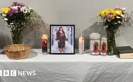 US Cleaner Fatally Shot After Mistakenly Arriving at Wrong Home