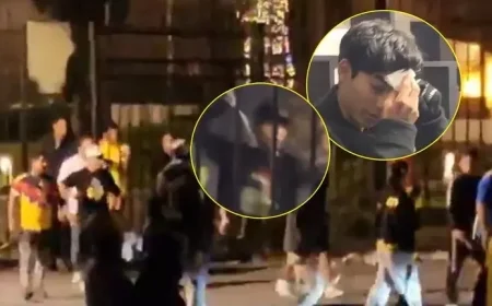 Brawl Erupts Between América and Toluca Fans