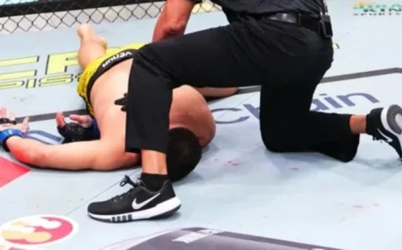 Fighter’s Stunning Spinning Strike Sets Up KO at UFC Vegas 111