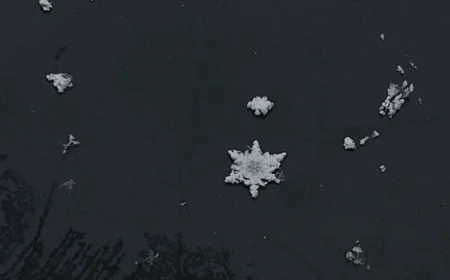 Where and When to Expect Snowflakes in Alabama