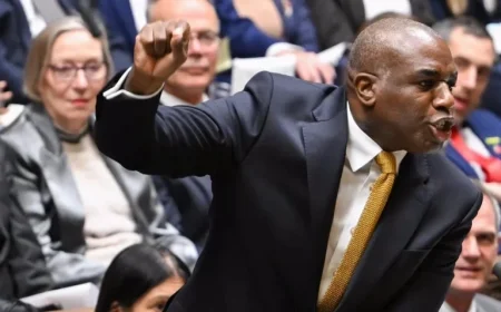 Should We Choose White Poppies as Performative Red Wearing Becomes Toxic?