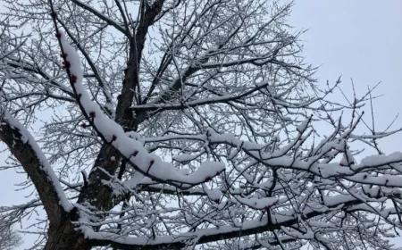 Northeast Ohio Braces for Winter Storm: Up to 10 Inches of Snow Expected