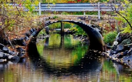 North Bay’s Morning Weather Update: Today’s Forecast