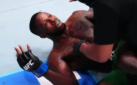 Pros React to Controversial Referee Decision in Gabriel Bonfim’s UFC Vegas 111 Win