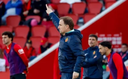 Son Moix Anticipates Thrilling Roller Coaster Event