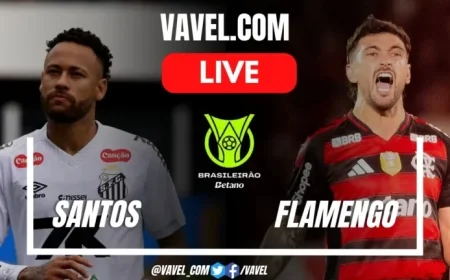 Live Score Updates: Flamengo vs Santos (0-0)