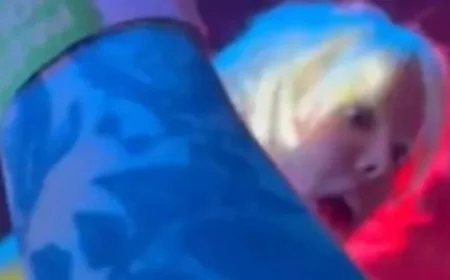 Fan Causes Uproar by Groping Pop Star During Concert