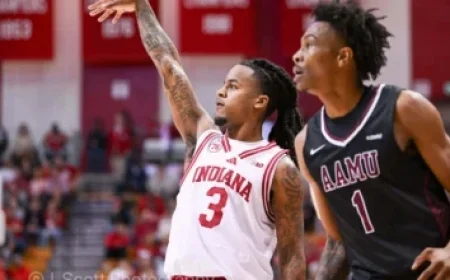 Rainfall Helps Control Tongariro Blaze with No Visible Fire Signs