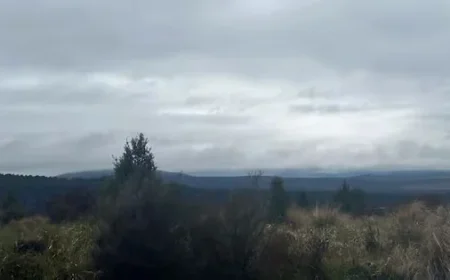 Fire Crews Combat Tongariro Blaze with Notable Progress