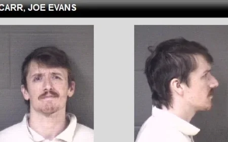 Sullivan County Democrats Demand Commissioner’s Resignation