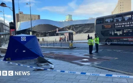 34-Year-Old Woman Dies After Birmingham Stabbing Attack