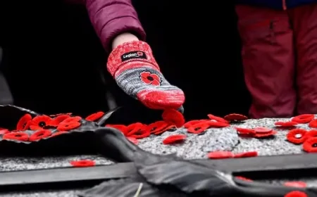 P.E.I. Remembrance Day 2025: What’s Open and Closed?