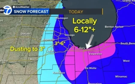 Winter Storm Warning: Chicago Snow Closes Some CPS Schools, Creates Hazardous Roads