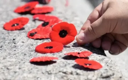 Judges Support Court’s Poppy Ban Following Public Backlash