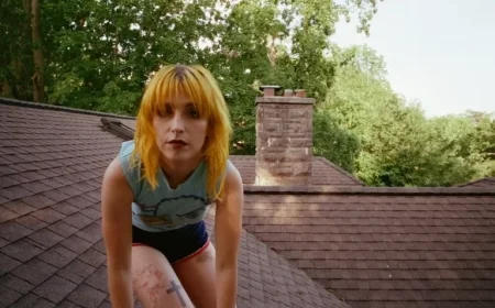 Hayley Williams Announces 2026 Tour Dates Quietly Online