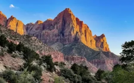 Explore the Stunning Landscapes of Zion National Park Through Photowalks