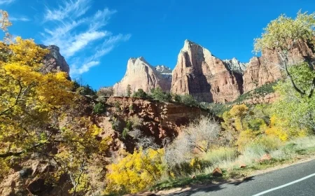 Zion National Park stays open with limited services as November shuttle runs wind down