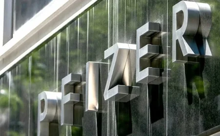 Metsera Shares Dive as Pfizer-Novo Buyout Battle Concludes at $10 Billion