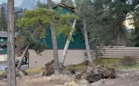 Environment Canada Alerts: Southern Alberta to Face 115 km/h Wind Gusts