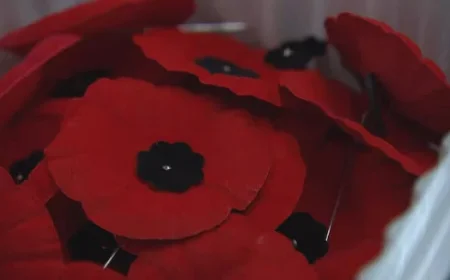 Top Locations for Manitobans to Commemorate Remembrance Day