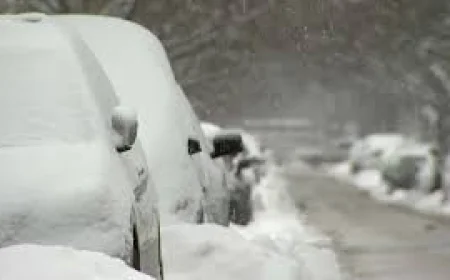 Chicago snow and school closings today: winter storm warning, updated totals, and what’s open (Nov. 11, 2025)