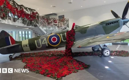 West Midlands Displays Remembrance Poppies: A Visual Tribute