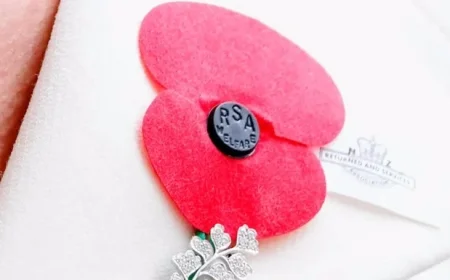 How to Properly Wear a Poppy: Royal British Legion Guidelines