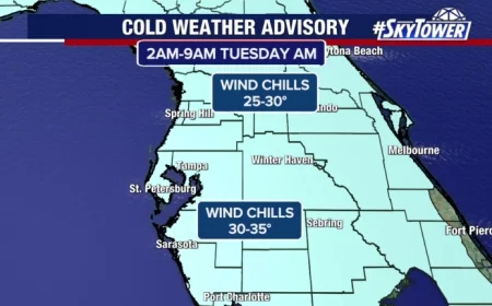 Bay Area Freeze Warning: Protect Pets, Plants, and Yourself