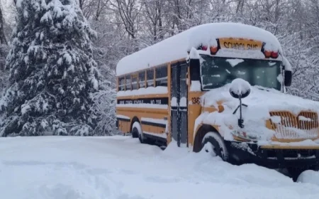 Southern Ontario: School Bus Cancellations and Closures for November 11, 2025