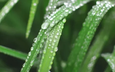 Wet, Windy Week Precedes Colder Weather Shift