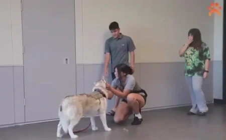 Arizona Soldier Reunites with Dog After Deployment