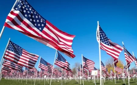 Veterans Day: Discover What’s Open and Closed Today, Including USPS and Banks