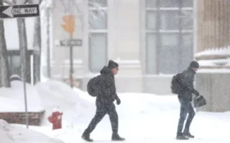 Trump Administration Skips COP30 Summit; Newsom Criticizes from Brazil